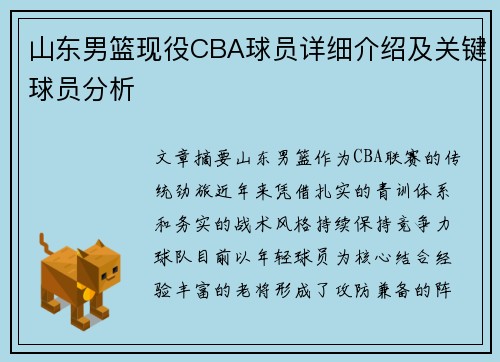 山东男篮现役CBA球员详细介绍及关键球员分析